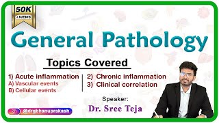 Acute inflammation  Vascular and cellular events  Chronic inflammation Part 1 General Pathology [upl. by Orimlede138]