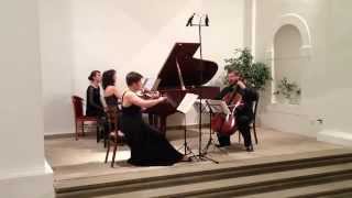 Bedřich Smetana Trio G minor 13  The Bergerettes Trio Prague [upl. by Nonnac887]