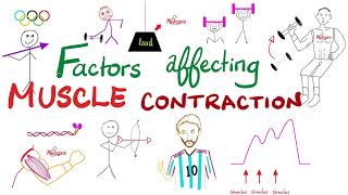 FrankStarling Law LengthTension Relationship LoadVelocity Relationship  Muscle Physiology [upl. by Box198]