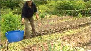 Jardin du MaraisYves Gillen jardinage sans travail du sol Sous titre en Français [upl. by Rutherfurd]