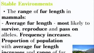 Natural Selection and Genetic Drift  ALevel A2 Biology Revision [upl. by Yolane]