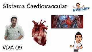 Sistema Cardiovascular  Vídeo Aula 09 [upl. by Stewart57]