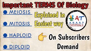 MEIOSISMITOSISHAPLOIDDIPLOID [upl. by Glory]