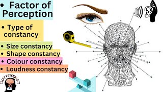 Factors of perception types of perceptual constancy urdu  hindi [upl. by Sadinoel766]