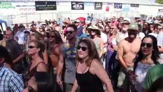 8th Annual Petaluma Music Festival Brings in a Crowd [upl. by Netnilc456]