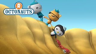 Octonauts  Ocean Helpers [upl. by Teferi177]