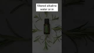 My magic rosemary oil recipe rosemaryoil rosemarywater viralhair [upl. by Nylloc]