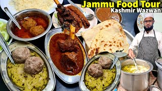 EXTREME KASHMIRI WAZWAN MUTTON GOSHTABA RISTA with ROASTED NALLI amp MUTTON KEBAB Jammu Food Tour 1 [upl. by Haldane]