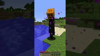 Friendly Enderman vs Pumpkin Feature shorts minecraft meme [upl. by Goren]