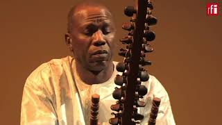 Kora  Ballaké Sissoko  improvisation 2 Live [upl. by Annaik52]