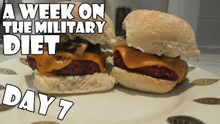 A Week On The Military Diet DAY 7 [upl. by Ahsekel]