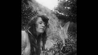 Cottingley Faeries Photos cottingleyfaeries faeries shorts [upl. by Alolomo]