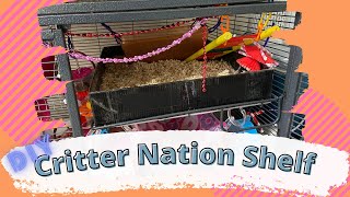 Critter Nation Shelf DIY [upl. by Nniw]