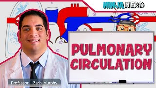 Circulatory System  Pulmonary Circulation [upl. by Leigha626]