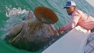 Fishing for Huge Groupers and Sharks with NBA Forward Wilson Chandler  ft Chew On This  4K [upl. by Scales]