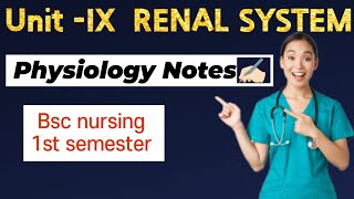 Renal system  physiology notes  bscnursing gnm nursingnotes nursingstudent nursinglife [upl. by Bannasch342]