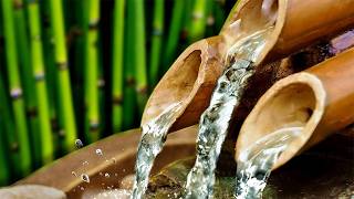 BAMBOO WATER FOUNTAIN  Relax amp Get Your Zen On  White Noise [upl. by Yenttihw]