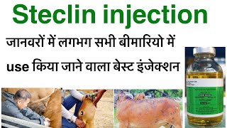 Steclin injection uses in hindioxytetracycline hcl injection uses in hindioxy veterinary injection [upl. by Veronique]