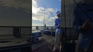 PIER FISHING NAVARRE FLORIDA fyp viralvideo kingfish fishing fishingvideo navarre ytshorts [upl. by Richardson]