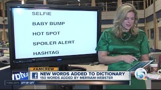 New words added to MerriamWebster dictionary [upl. by Amalburga]