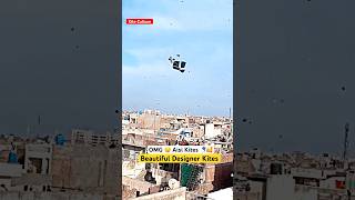 Beautiful Kites in Sky viralvideo patang kiteflying kite shorts [upl. by Allrud]