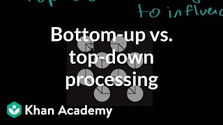 Bottomup vs topdown processing  Processing the Environment  MCAT  Khan Academy [upl. by Inal]