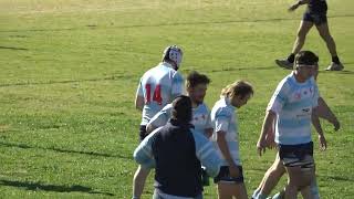 Lions v Narrabri reserve grade tries today [upl. by Enilhtak226]