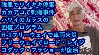 ハワイニュース 01202024：カカアコで刺傷事件、H1フリーウェイで車両火災、ハワイのカラス”アララ”の回復プログラム、モアナルア・フリーウェイでロード・レイジ、コダック・フラショーが復活 [upl. by Atinob]