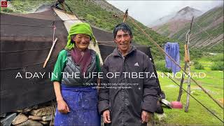 Daily Life of a Tibetan Nomad Family Living in Altitude of 4800 Meters How is Their Daily Life [upl. by Ahterahs]