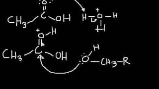 Esterification Mechanism making an ester from a carboxylic acid and an alcohol [upl. by Cirderf]