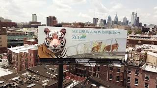 3D Billboard Drone Footage  Philadelphia Zoo Tiger [upl. by Rahal592]