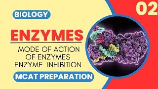 Mcat Biology Class 2  MODE OF ACTION OF ENZYMES AND ENZYMES INHIBITION [upl. by Rubens]