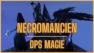 Build nécromancien magie DPS Solo  Necrom TESO [upl. by Rosemary503]