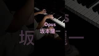 piano pianocover bttb 坂本龍一 live authentically and don’t forget to look moon everyday [upl. by Beard]