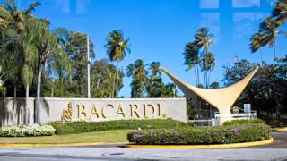 Touring Bacardi Rum Distillery [upl. by Odlonyer]