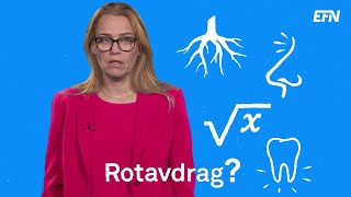 Reglerna för rotavdraget [upl. by Felske275]