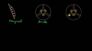 Placentation  Morphology of flowering plants  Biology  Khan Academy [upl. by Nelloc]