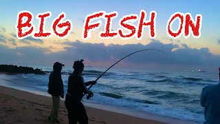 Big Fish Stumpy Fish Dollar Fish Umdloti Beach Durban South Africa [upl. by Kovacs]