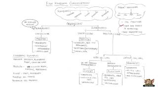 Five Kingdom Classification [upl. by Ayrad]