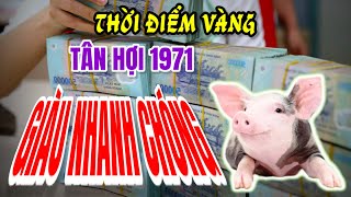 Tử vi 5 tháng cuối 2024  Thấy Tân Hợi 1971  Vận số xoay chiều  Đổi đời giàu nhanh chóng [upl. by Nelon]