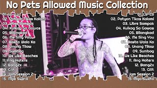 Lo Lo Patyon Tikas Kalami Libre Sampak 🎵 Best Songs Of No Pets Allowed Collection [upl. by Nedlog150]