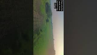 The sairat movie sum scene record in my village [upl. by Hukill]