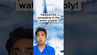 ‼️🦠 Parasites in the Water Supply 😱 Doctor Explains Cryptosporidium Outbreak in the UK [upl. by Lisetta]