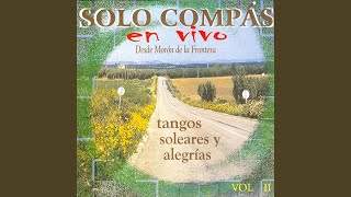 Tangos Solo Compas [upl. by Jael633]