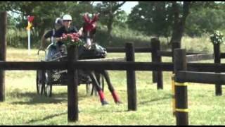 Carriage Driving at Catton Horse Driving Trials [upl. by Lorain]