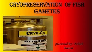 Cryopreservation of fish gametes Cryopreservation methods Cryopreservation [upl. by Ariat]