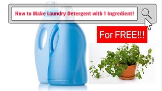 How to Make Your Own Laundry Detergent for FREE 1 ingredient DIY Homemade Dish Soap NonToxic [upl. by Hamo294]