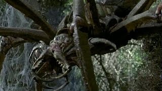 Arachnid Trailer español [upl. by Ahsienom]