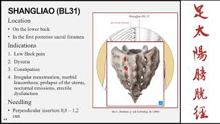 The bladder meridian of the foot taiyang part 3 [upl. by Ahsinom]