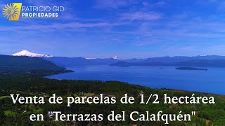 Venta de parcelas de 12 hectárea en quotTerrazas del Calafquénquot [upl. by Radferd]